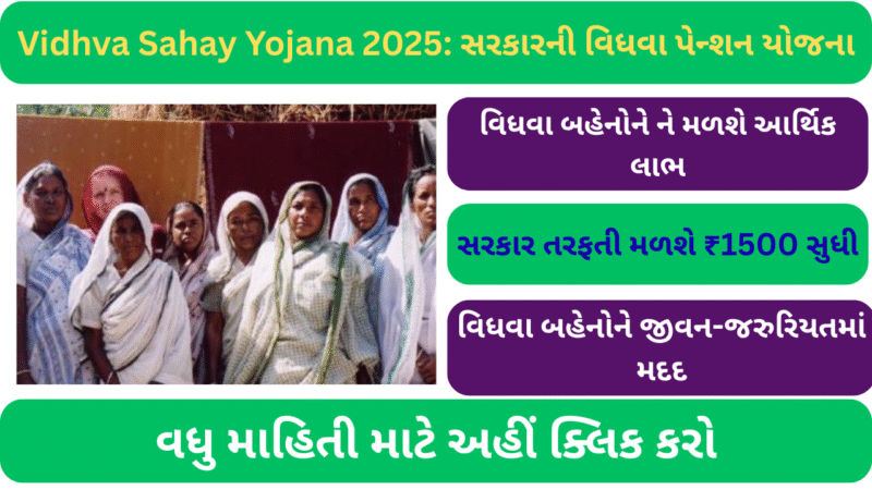 Vidhva Sahay Yojana 2025: સરકારની વિધવા પેન્શન યોજના